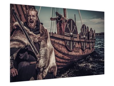 Obraz - Viking