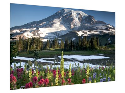 Slika - Mount Rainier