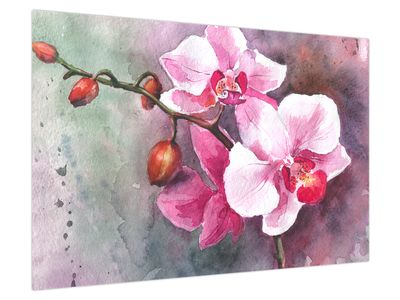 Obraz - Orchideje, aquarel