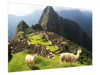 Obraz - Machu Picchu