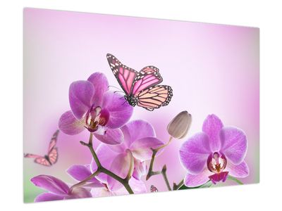 Obraz - Motyl na kwiatach orchidei, liliowy