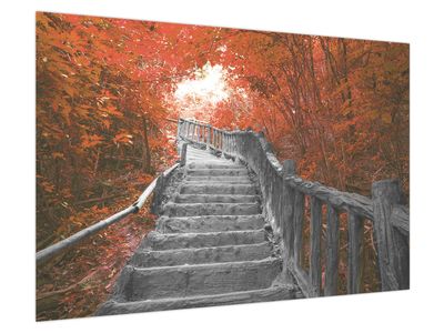 Bild auf Leinwand - Treppe in der Natur, orange