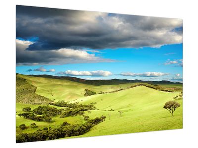 Bild auf Leinwand - Grüne Landschaft mit Hügeln