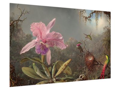 Schilderij - Martin Johnson Heade, Cattleya Orchid and Three Hummingbirds, reproducties