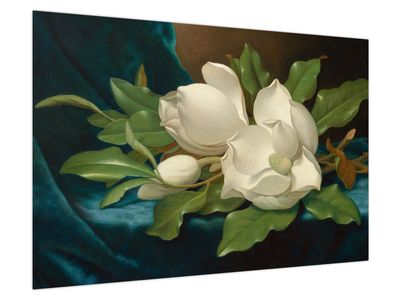 Bild auf Leinwand - Martin Johnson Heade, Giant Magnolias on a Blue Velvet Cloth, Reproduktionen