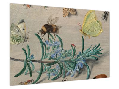 Obraz - Jan van Kessel the Elder, Insects and a Sprig of Rosemary, reprodukcje