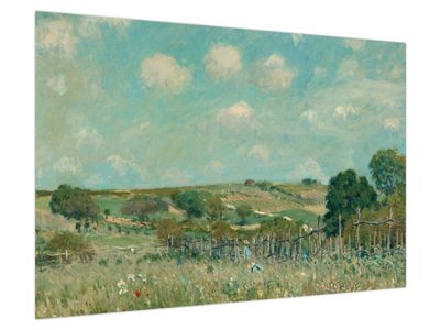 Obraz - Alfred Sisley,  Meadow, reprodukcje