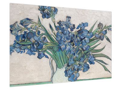 Obraz - Vincent van Gogh, Irises, reprodukcje