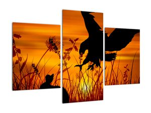 Schilderij - Silhouet van een roofvogel