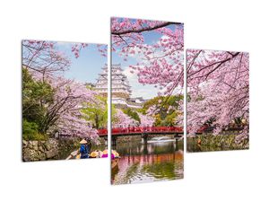 Japán cseresznye képe