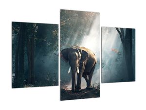 Schilderij - Olifant in de jungle