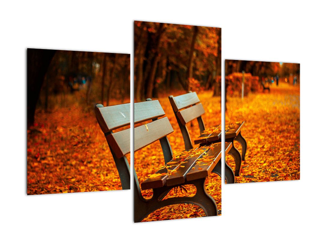 Obraz lavičky v podzimu (V020588V90603PCS)