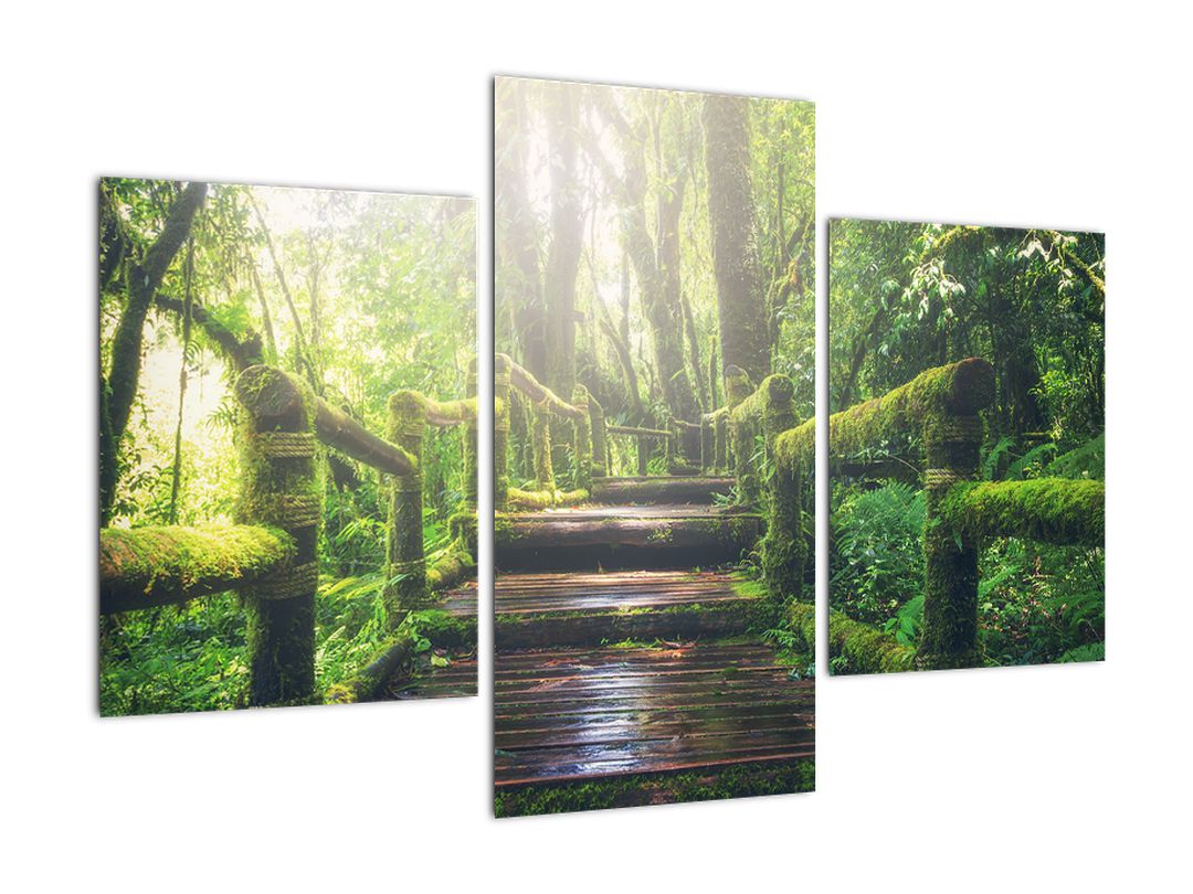 Obraz - dřevěné schody v lese (V020593V90603PCS)
