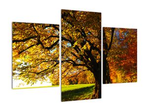Obraz jesenného stromu
