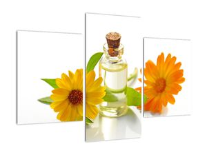 Obraz květinového oleje