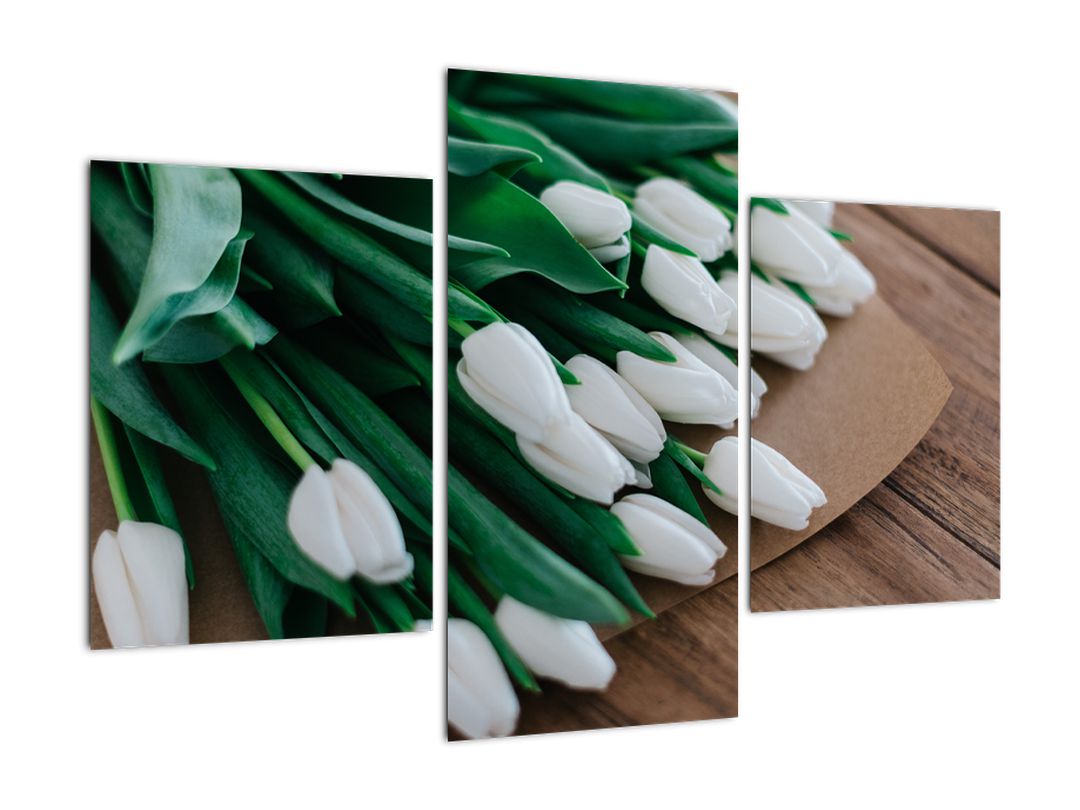 Obraz kytice bílých tulipánů (V020922V90603PCS)