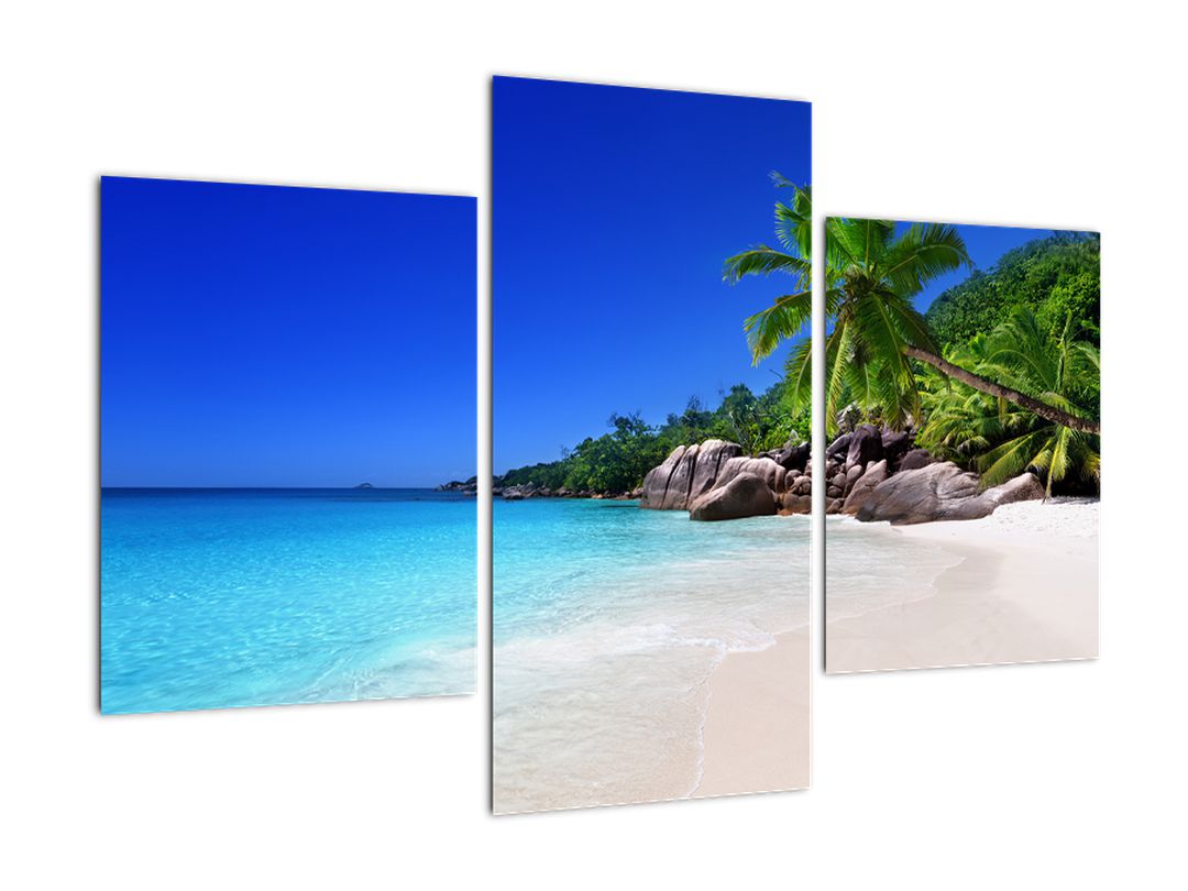 Obraz pláže na Praslin ostrově (V020936V90603PCS)