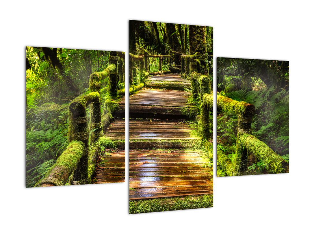 Obraz schodů v deštném pralese (V020941V90603PCS)
