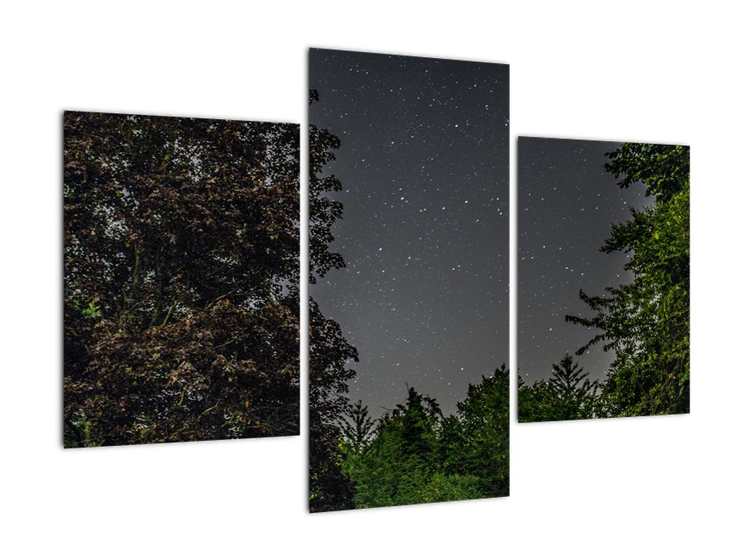 Obraz noční oblohy (V020998V90603PCS)