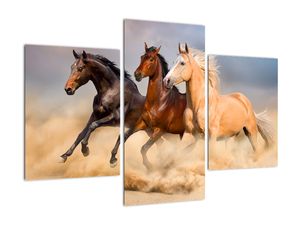 Kép - Vad lovak