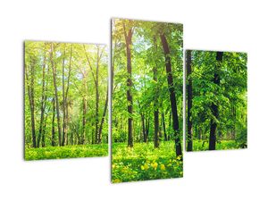 Obraz - Jarný listnatý les