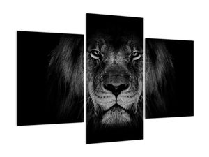 Schilderij - Imposante leeuw