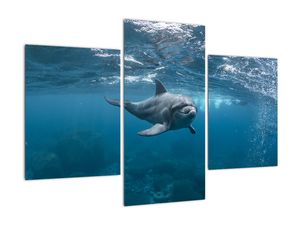 Tablou - Delfin sub apă