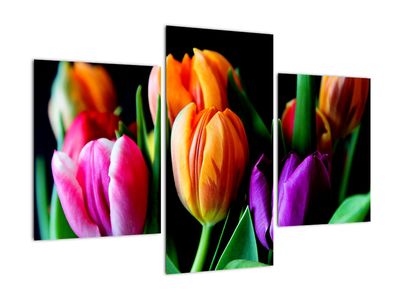 Schilderij - Tulpen op een zwarte achtergrond
