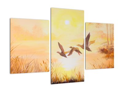 Schilderij - Kraanvogels bij zonsondergang