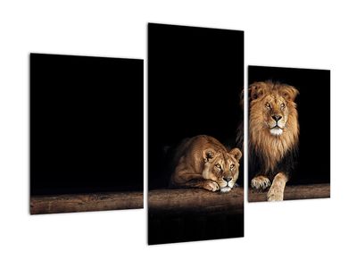 Schilderij - Leeuw en leeuwin