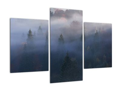 Kép - erdő a ködben, Carpathians, Ukraina