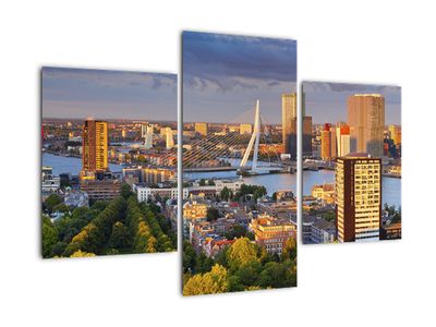 Schilderij - Panorama van Rotterdam, Nederland