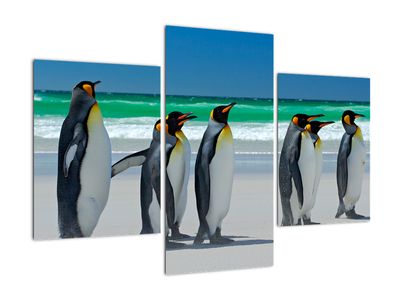 Slika - Skupina kraljevih pingvinov