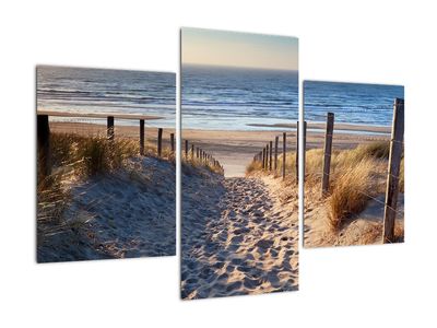 Slika - Cesta do plaže ob Severnem morju, Nizozemska