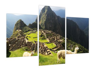 Obraz - Machu Picchu