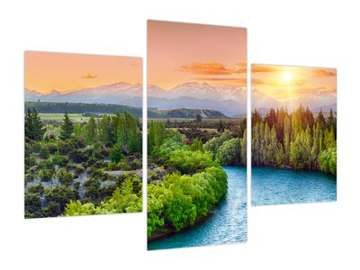 Bild auf Leinwand - Wald-Berglandschaft