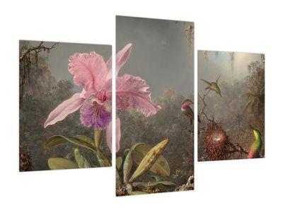 Obraz - Martin Johnson Heade, Cattleya Orchid and Three Hummingbirds, reprodukcje