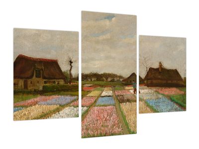 Obraz - Vincent van Gogh, Flower Beds in Holland, reprodukcje