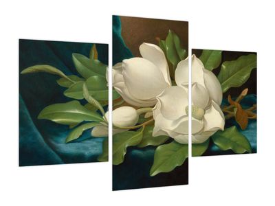 Obraz - Martin Johnson Heade, Giant Magnolias on a Blue Velvet Cloth, reprodukcje