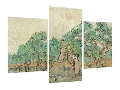 Obraz - Vincent van Gogh, The Olive Orchard, reprodukcje