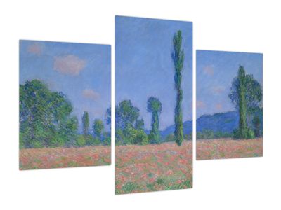 Obraz - Claude Monet, Poppy Field (Giverny), reprodukcje