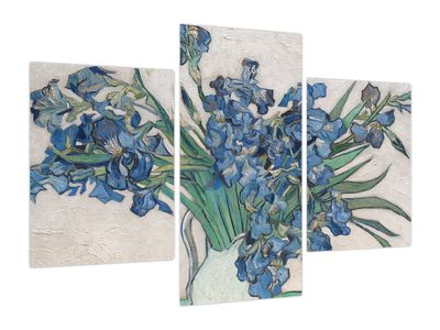 Obraz - Vincent van Gogh, Irises, reprodukcje