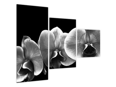 Tablou floare de orhidee (cu ceas) (V022015V9070C)
