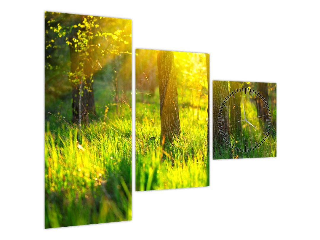 Obraz - Jarní probouzení lesa (s hodinami) (V022484V9070C)