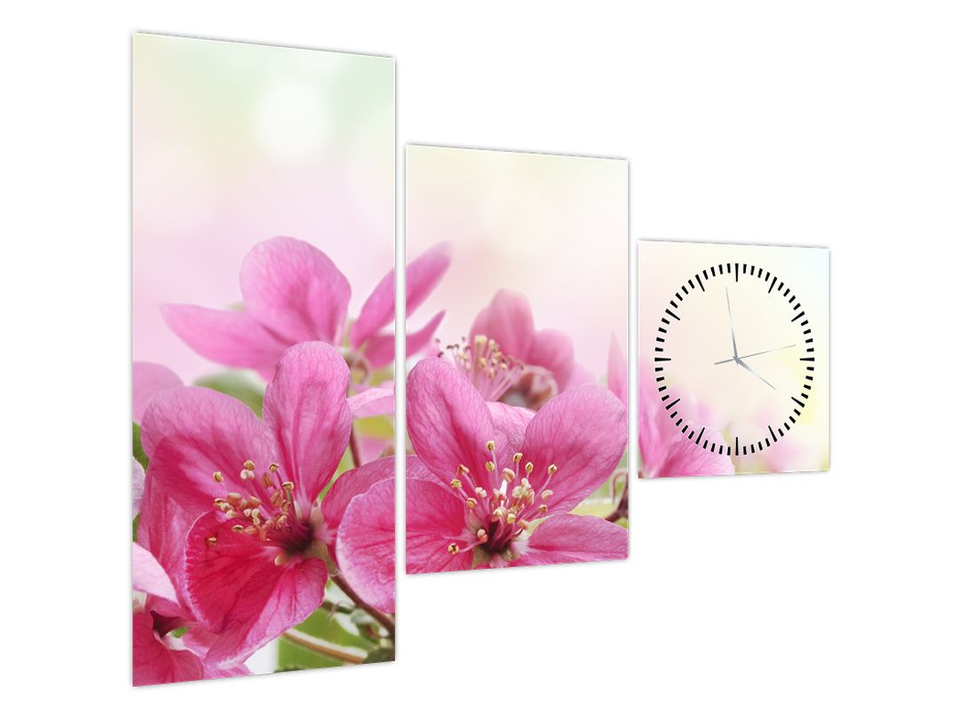 Obraz - Růžové květy (s hodinami) (V022529V9070C)