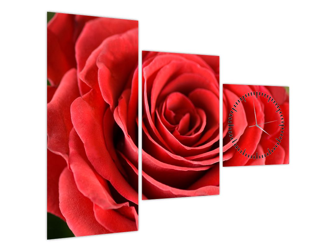 Obraz květu růže (s hodinami) (V022563V9070C)