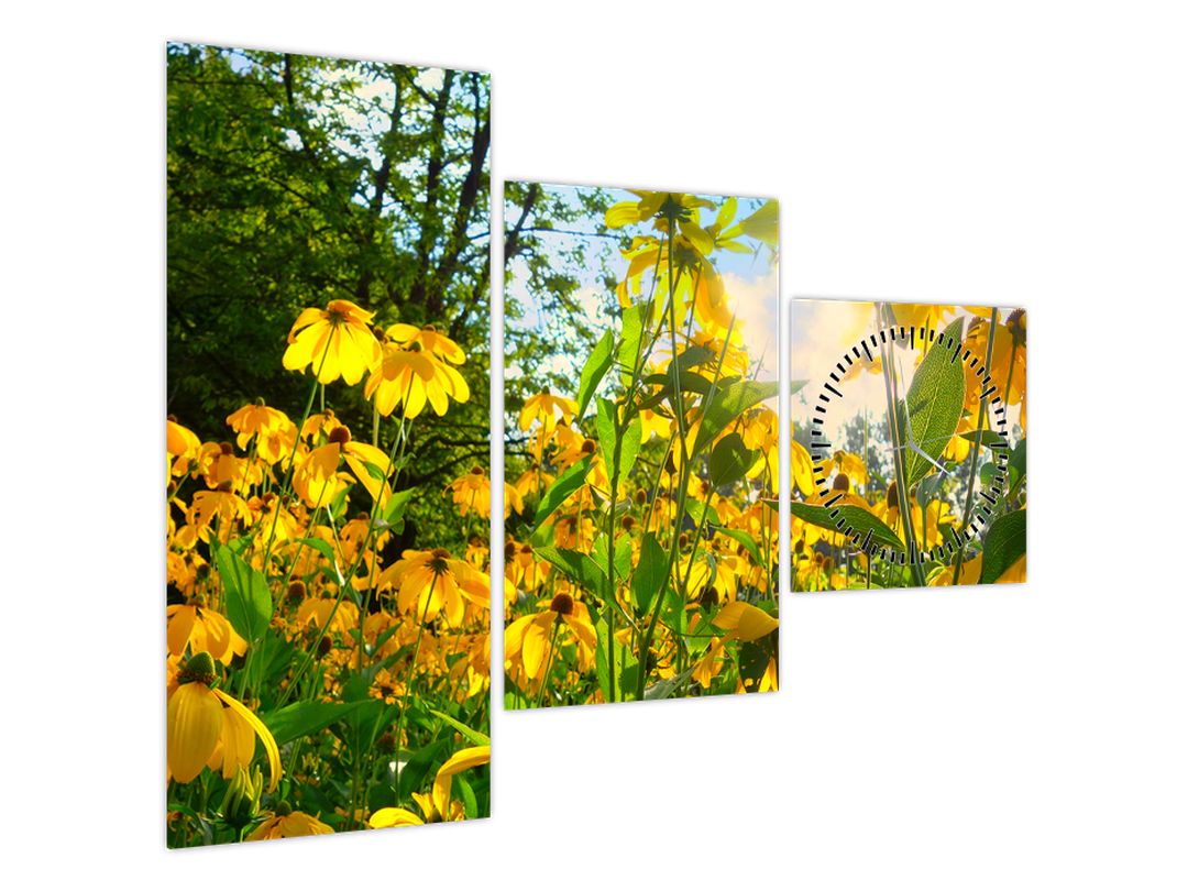 Obraz žlutých květin (s hodinami) (V022566V9070C)