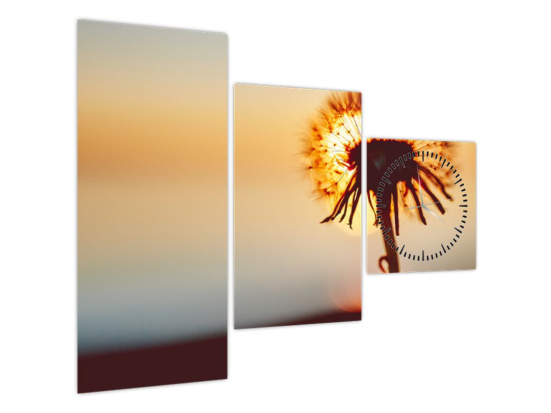 Obraz Pampelišky v západu slunce (s hodinami) (V022567V9070C)