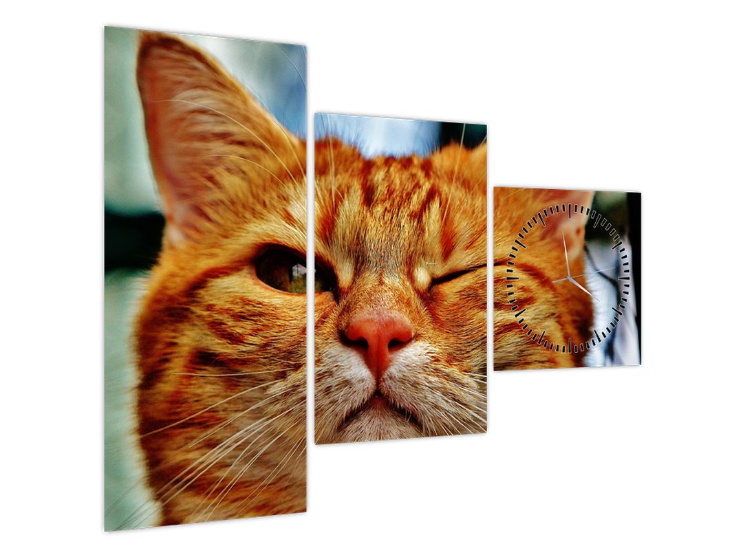 Obraz mrkající kočky (s hodinami) (V022588V9070C)