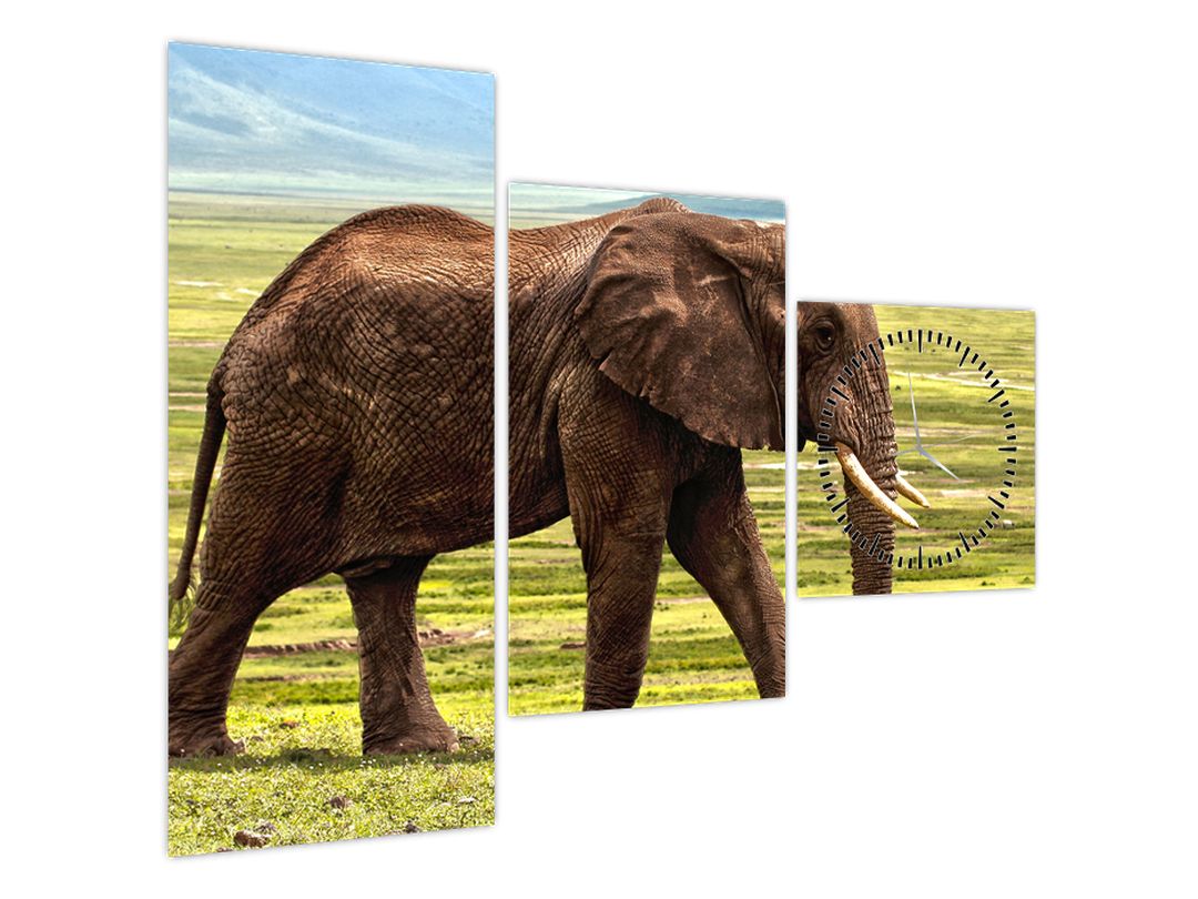 Obraz slona (s hodinami) (V022595V9070C)